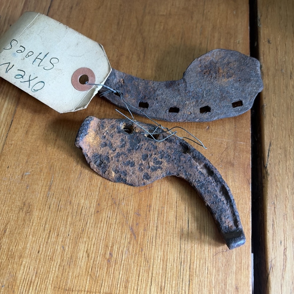 Antique Primitive Iron Oxen shoe.